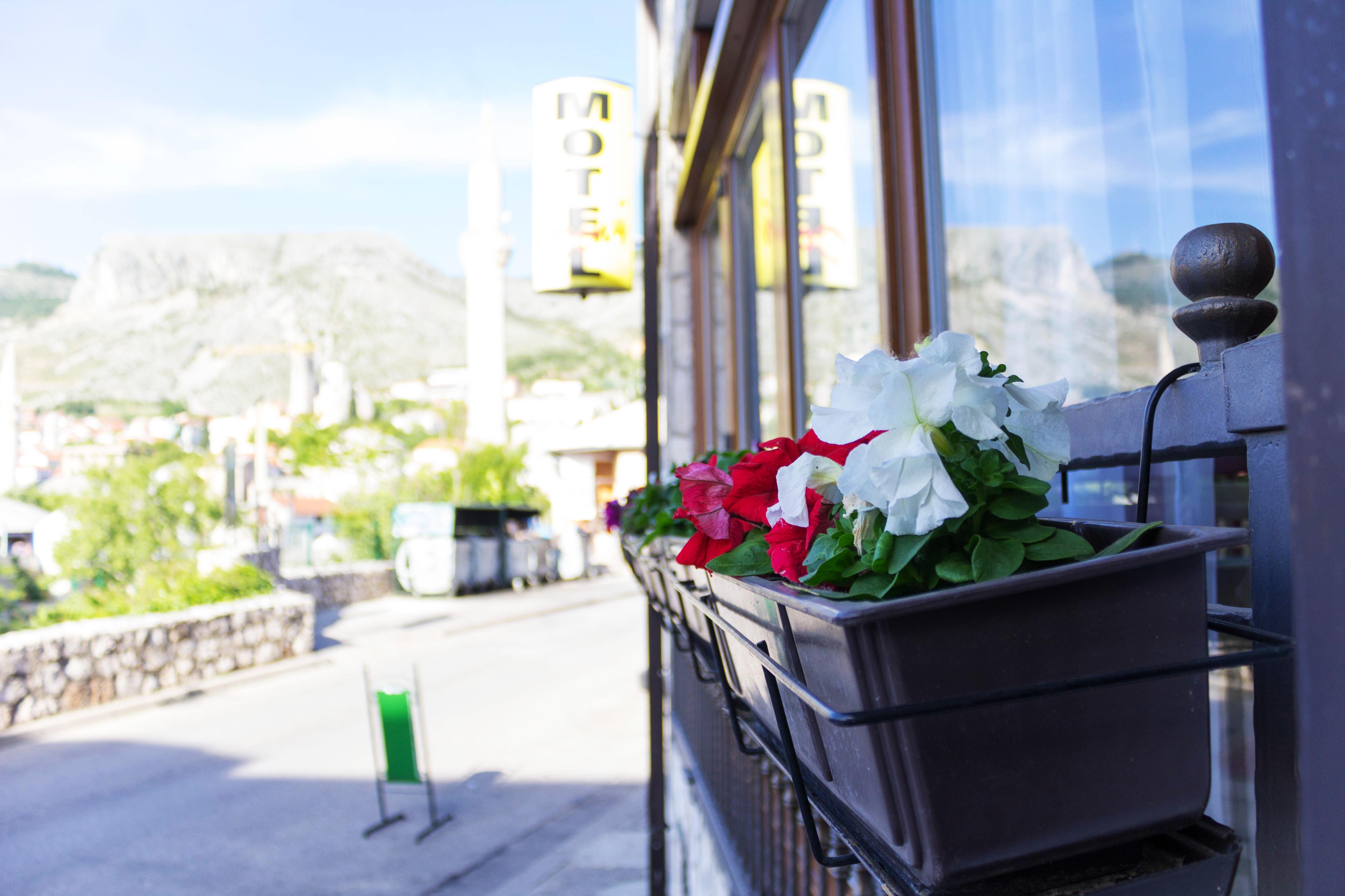 Villa Deny Mostar - With Free Parking Ngoại thất bức ảnh